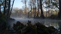 Foggy lake in the forest in the morning. Ginny Springs, Florida. USA autumn winter season Royalty Free Stock Photo