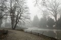 Foggy lake morning Royalty Free Stock Photo