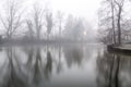 Foggy lake morning Royalty Free Stock Photo