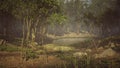 Foggy lake scape and vibrant autumn colors in trees at dawn Royalty Free Stock Photo