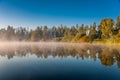 Foggy lake scape and vibrant spring colors in trees at dawn Royalty Free Stock Photo