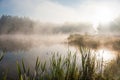 Foggy lake scape and vibrant spring colors in trees at dawn Royalty Free Stock Photo