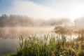 Foggy lake scape and vibrant spring colors in trees at dawn Royalty Free Stock Photo