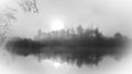 Foggy lake tree reflexion Royalty Free Stock Photo