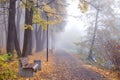 Foggy landscape. Autumn alley in city park at misty morning Royalty Free Stock Photo