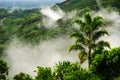 Foggy landscape in Buenavista, Quindio Royalty Free Stock Photo