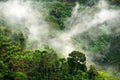 Foggy landscape in Buenavista, Quindio Royalty Free Stock Photo