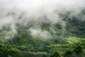 Foggy landscape in Buenavista, Quindio Royalty Free Stock Photo