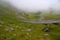 Foggy landscape in the Carpathians Mountains