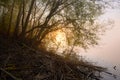 Foggy Landscape. Early Morning Mist. Royalty Free Stock Photo