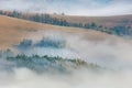 Foggy landscape with fir forest in Mountains valley - autumn