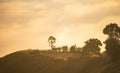 Foggy landscape forest in the morning beautiful sunrise mist cover mountain background at countryside winter Royalty Free Stock Photo