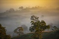 Foggy landscape forest in the morning beautiful sunrise mist cover mountain background at countryside winter Royalty Free Stock Photo