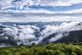 Foggy landscape with high mountains. Fields and meadow are covered with morning fog. Forest of the pine trees. Natural scenery Royalty Free Stock Photo