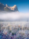 Foggy landscape in the morning. Mountain peak. Sunbeams in a valley. Field in a mountain valley at dawn. Royalty Free Stock Photo