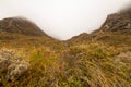 Foggy landscape with native alpine vegetation and grassland, Routeburn Track, Southern Alps in the South Island New Zealand Royalty Free Stock Photo