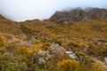 Foggy landscape with native alpine vegetation and grassland, Routeburn Track, Southern Alps in the South Island New Zealand Royalty Free Stock Photo