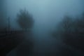 foggy landscape with a river and trees on an alley in the city on an autumn evening in fog mist Royalty Free Stock Photo