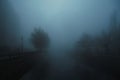 foggy landscape with a river and trees on an alley in the city on an autumn evening in fog mist Royalty Free Stock Photo