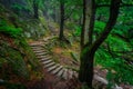 A foggy landscape of stairs from hellish Valley to Chojnik Castle in the Karkonosze Mountains. Poland Royalty Free Stock Photo