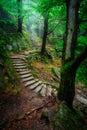 A foggy landscape of stairs from hellish Valley to Chojnik Castle in the Karkonosze Mountains. Poland Royalty Free Stock Photo