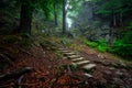 A foggy landscape of stairs from hellish Valley to Chojnik Castle in the Karkonosze Mountains. Poland Royalty Free Stock Photo