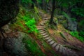 A foggy landscape of stairs from hellish Valley to Chojnik Castle in the Karkonosze Mountains. Poland Royalty Free Stock Photo