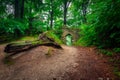 A foggy landscape of stairs from hellish Valley to Chojnik Castle in the Karkonosze Mountains. Poland Royalty Free Stock Photo