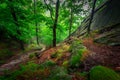 A foggy landscape of stairs from hellish Valley to Chojnik Castle in the Karkonosze Mountains. Poland Royalty Free Stock Photo