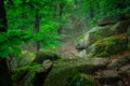 A foggy landscape of stairs from hellish Valley to Chojnik Castle in the Karkonosze Mountains. Poland Royalty Free Stock Photo