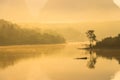 Foggy landscape with a tree silhouette on a fog over lake Royalty Free Stock Photo