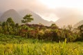 Foggy landscapes surrounding the small village of coffee growers in the highlands of Honduras. Central America Royalty Free Stock Photo