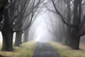 Foggy Lane 3 Royalty Free Stock Photo