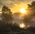 Foggy little river landscape