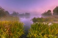 Foggy Marshland