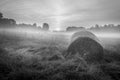 Foggy Meadow in the Lublin region. Royalty Free Stock Photo