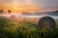 Foggy Meadow in the Lublin region. Royalty Free Stock Photo