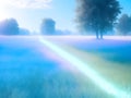 A foggy meadow in the morning. The grass is green and lush, and the fog is thick and white Royalty Free Stock Photo