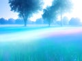 A foggy meadow in the morning. The grass is green and lush, and the fog is thick and white Royalty Free Stock Photo