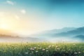 Foggy meadow in the mountains at sunrise