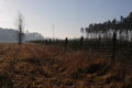 Fence in the foggy meadow with trees in the autumn with blue sky and brown grass. Landscape  in the early morning Royalty Free Stock Photo