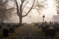 Foggy misty autumn morning in the cemetery Royalty Free Stock Photo