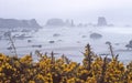 A foggy, misty day at the beach Royalty Free Stock Photo