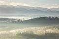 Foggy misty landscape with forest and trees in mountains valley Royalty Free Stock Photo