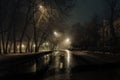 Foggy misty night road illuminated by street lights Royalty Free Stock Photo