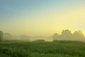 Foggy morning Royalty Free Stock Photo