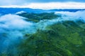 Foggy morning above tea plantation hill