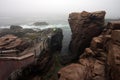 Foggy morning in Acadia National Park, Maine.