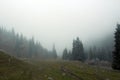 A foggy morning in Karkyra Royalty Free Stock Photo