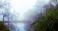 Foggy Morning in the autumn lake. Fall rural landscape Royalty Free Stock Photo